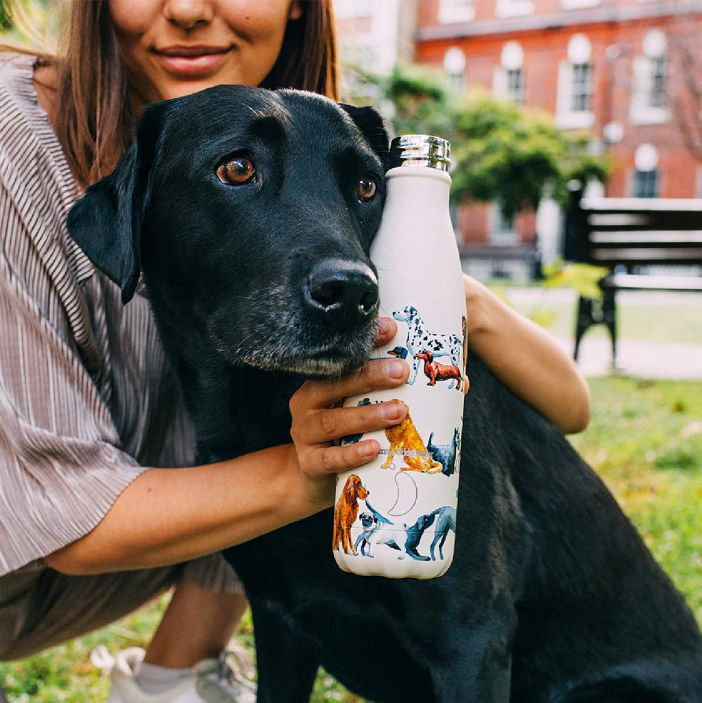 Chilly's Stainless Steel Collection - Insulated Water Bottle