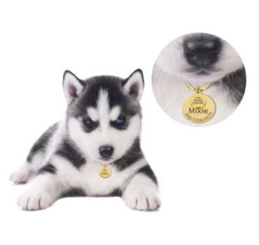 Fashion Pet I'm MICRO Dog Anti-Lost Carving Brand Collar Label Pendant Keychain Jewelry Pendant