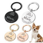 Fashion Pet I'm MICRO Dog Anti-Lost Carving Brand Collar Label Pendant Keychain Jewelry Pendant
