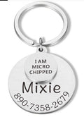 Fashion Pet I'm MICRO Dog Anti-Lost Carving Brand Collar Label Pendant Keychain Jewelry Pendant