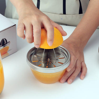 Kitchen Stainless Steel Manual Fruit Juicer