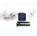 Outdoor Christmas Decoration Lights 20 LEDs 30 LEDs 50 LED Solar Dragonfly String Lights